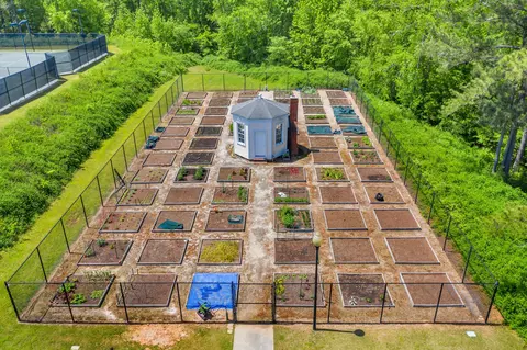 424 Cavalry Run, North Augusta, SC 29860 photo 39