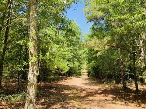 0 NE Glass Rope Ln NE, Aiken, SC 29805