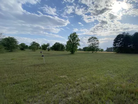 12 N Acres N Windsor North Rd, Windsor, SC 29856