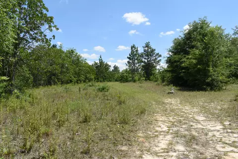 2 Acres Windsor Rd, Windsor, SC 29856 photo 3