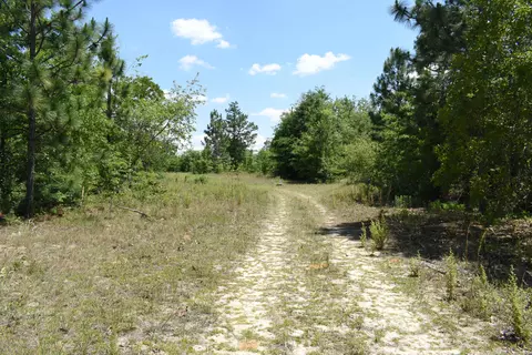 2 Acres Windsor Rd, Windsor, SC 29856 photo 2
