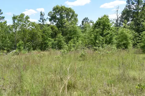 2 Acres Windsor Rd, Windsor, SC 29856 photo 4