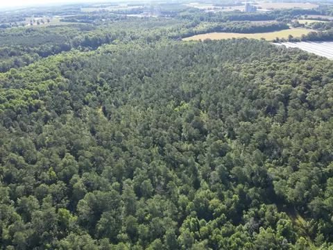 0 Padgett Pond Rd, Monetta, SC 29105 photo 6