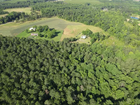 0 Padgett Pond Rd, Monetta, SC 29105 photo 7