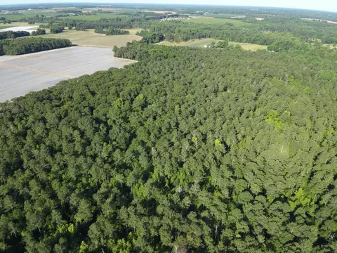 0 Padgett Pond Rd, Monetta, SC 29105 photo 5