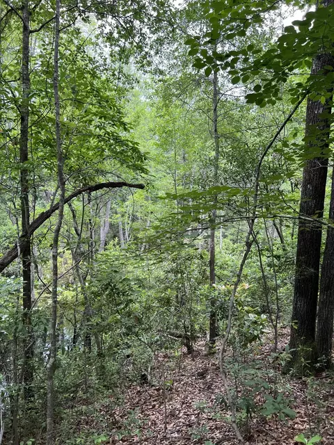 0 Lyndale Dr #LOT 3, West Columbia, SC 29170