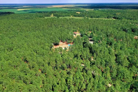 View/Area - 958 State Park Rd, Windsor, SC 29856 photo 7 of 15