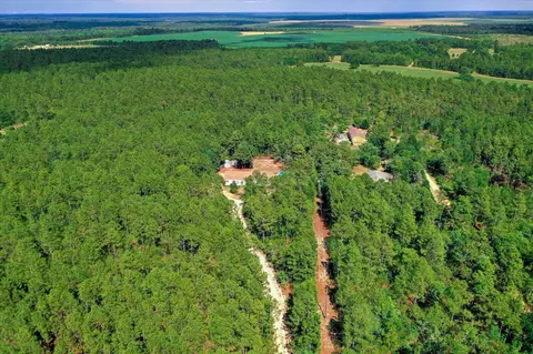 View/Area - 958 State Park Rd, Windsor, SC 29856 photo 6 of 15