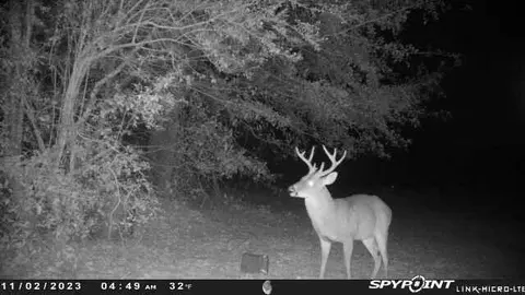 00 Backstretch Dr, Aiken, SC 29803 photo 25