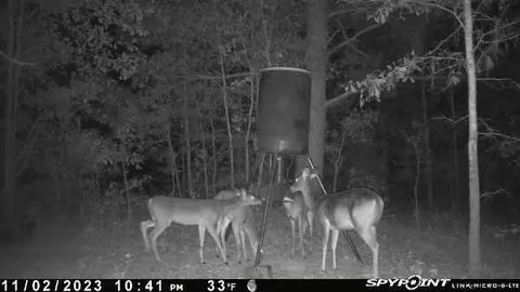 00 Backstretch Dr, Aiken, SC 29803 photo 28
