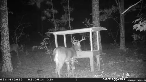 00 Backstretch Dr, Aiken, SC 29803 photo 29