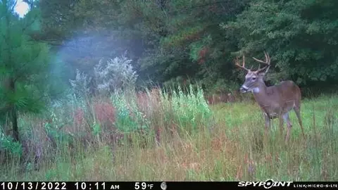 00 Backstretch Dr, Aiken, SC 29803 photo 27