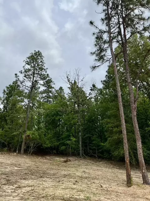 0 Shell Stone Dr, Aiken, SC 29803 photo 4