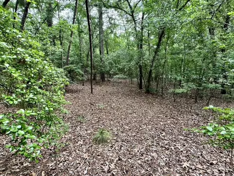 0 Shell Stone Dr, Aiken, SC 29803 photo 3