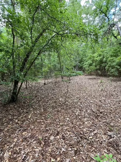 0 Shell Stone Dr, Aiken, SC 29803 photo 6