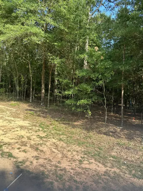 lot Washington Ave, Beech Island, SC 29842