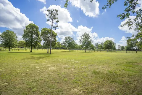 433 N Windsor Rd, Windsor, SC 29856 photo 49