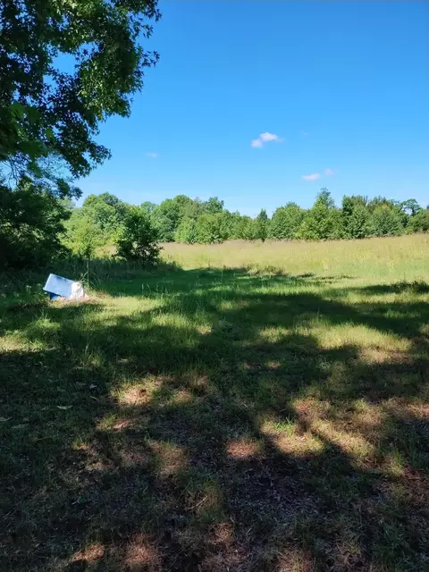 445 Old Waynesboro Lot 2 Rd, Waynesboro, GA 30830