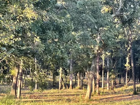 0 Tbd Wrights Mill Road Rd, Aiken, SC 29801