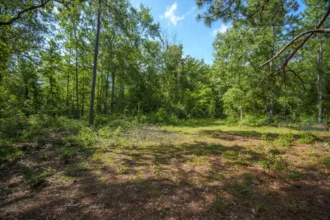 00 Wheat Rd, Aiken, SC 29801 photo 5