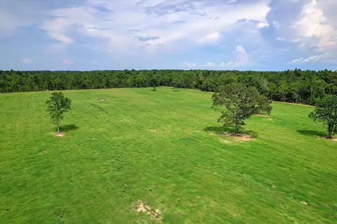 tbd Shefrin St, Wagener, SC 29164