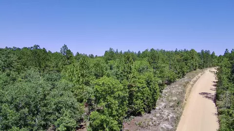 X Big Branch Road, Wagener, SC 29164