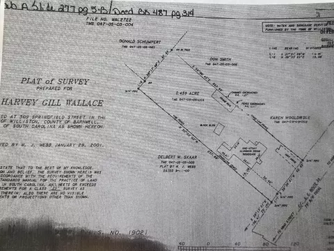 5521 Springfield Rd, Williston, SC 29853 photo 36
