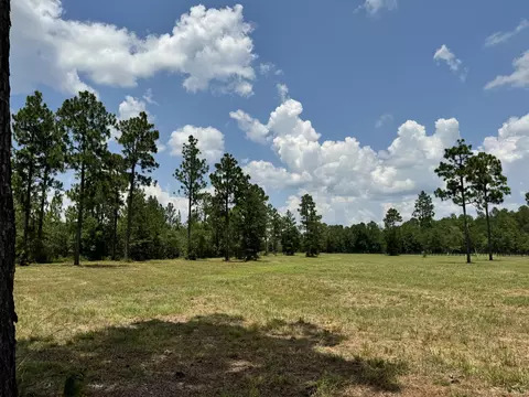 8 72 Acres Tandem Trl, Windsor, SC 29856