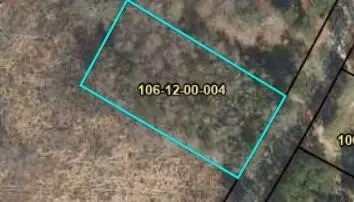00 Walker St, Blackville, SC 29817