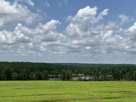 0 36 Laughlin Loop Rd, Aiken, SC 29805 photo 9