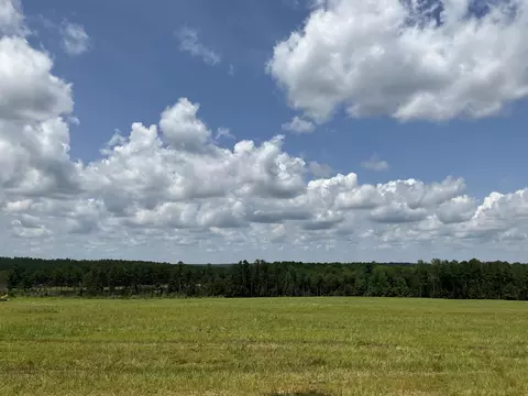 0 36 Laughlin Loop Rd, Aiken, SC 29805 photo 6
