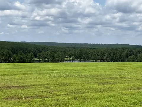0 36 Laughlin Loop Rd, Aiken, SC 29805 photo 13