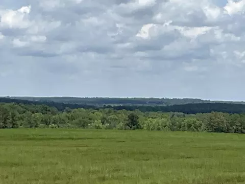 0 36 Laughlin Loop Rd, Aiken, SC 29805 photo 12