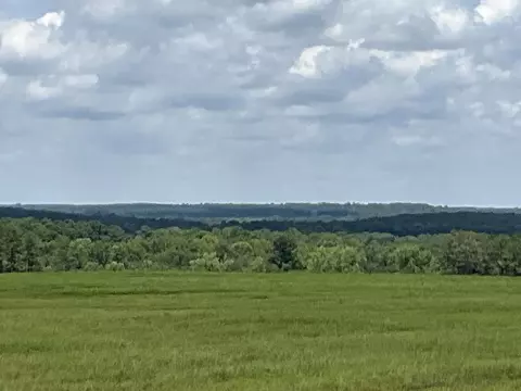 0 36 Laughlin Loop Rd, Aiken, SC 29805 photo 11