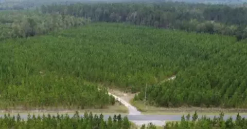 0 Jaywood Rd, Williston, SC 29853