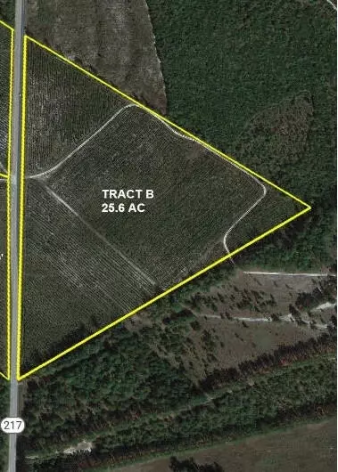 0 Jaywood Rd, Williston, SC 29853 photo 4