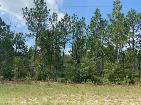 5 Acres Fox Run, Windsor, SC 29856 photo 2