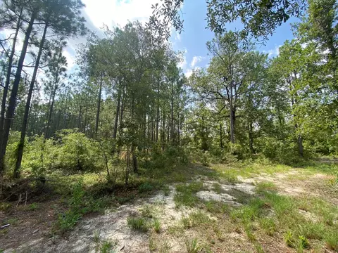 5 Acres Fox Run, Windsor, SC 29856 photo 6