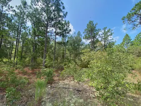 5 Acres Fox Run, Windsor, SC 29856 photo 4