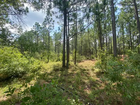 5 Acres Fox Run, Windsor, SC 29856 photo 10