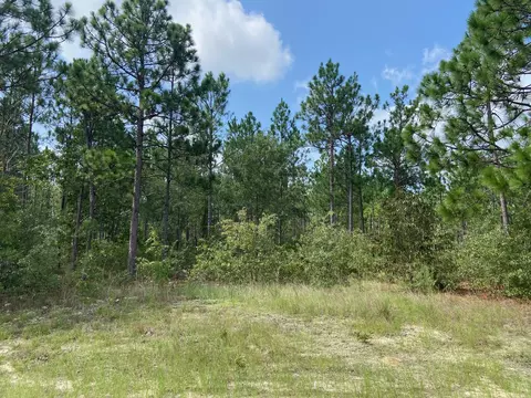 5 Acres Fox Run, Windsor, SC 29856 photo 3