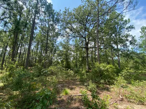 5 Acres Fox Run, Windsor, SC 29856 photo 9