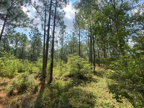 5 Acres Fox Run, Windsor, SC 29856