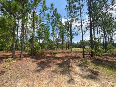 5 Acres Fox Run, Windsor, SC 29856 photo 5