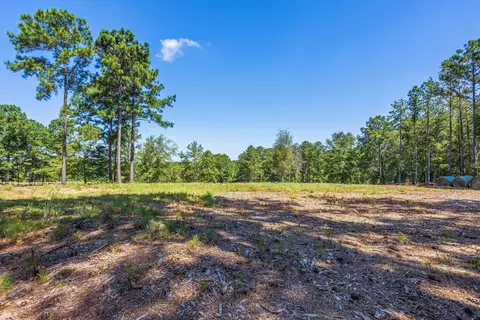 3871 Cobbham Rd, Thomson, GA 30824 photo 79