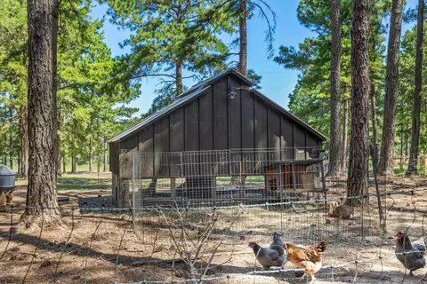 3871 Cobbham Rd, Thomson, GA 30824 photo 66