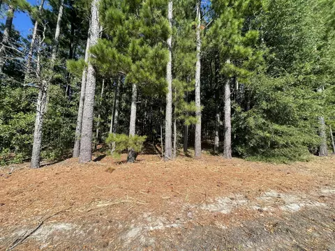lot8 Old 96 Indian Trl, Batesburg-leesville, SC 29006