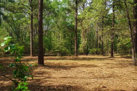 3 Acs On Banks Mill Road Rd SE, Aiken, SC 29803