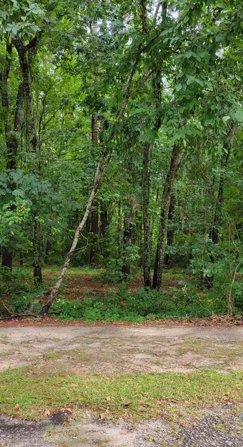 0 Copeland Dr, Manning, SC 29102