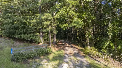 481 Mt Pleasant Rd, Monetta, SC 29105 photo 16